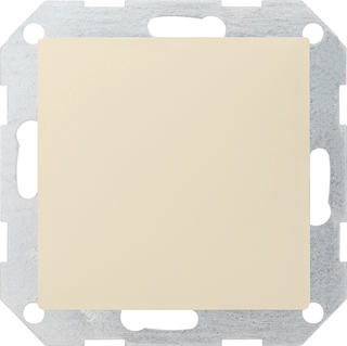 INZETPLAAT BLIND CWG 55 (Gira)